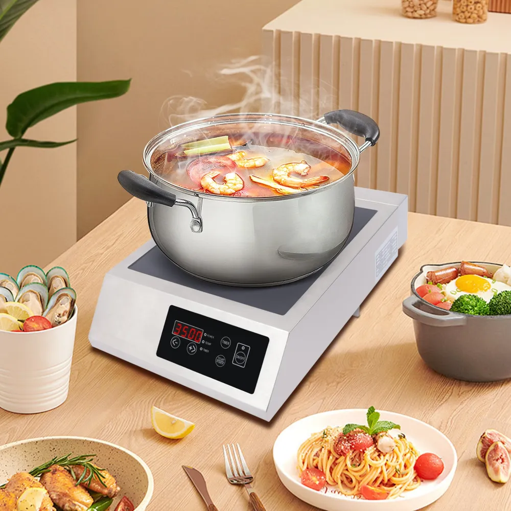 Induction Cooktop Commercial Grade Burner Pro Chef Professional Range High Power  Stainless Steel Housing Schott Glass