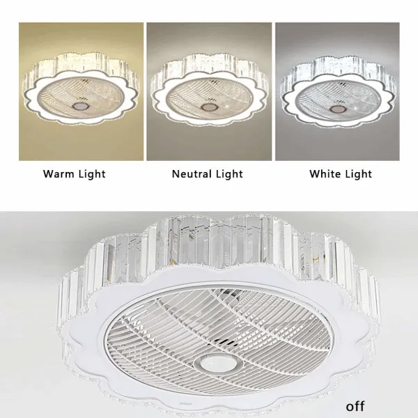 23 Inch Ceiling Fan Lights for Low Ceilings with Remote Control 3-Color Mode LED Lighting 3 Speed Copper Motor Fan 23 Inch Ceiling Fan Lights for Low Ceilings with Remote Control 3-Color Mode LED Lighting 3 Speed Copper Motor Fan