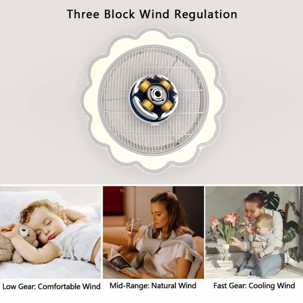 23 Inch Ceiling Fan Lights for Low Ceilings with Remote Control 3-Color Mode LED Lighting 3 Speed Copper Motor Fan 23 Inch Ceiling Fan Lights for Low Ceilings with Remote Control 3-Color Mode LED Lighting 3 Speed Copper Motor Fan