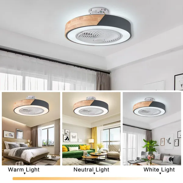 Invisible Ceiling Fan with Light, 22 Inch Modern Acrylic Bladeless Fan Chandelier with Remote Control