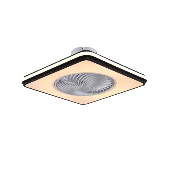 Ceiling Fan with Lights 20 inch Invisible Acrylic Blade Metal Shell Ceiling Light Fan,LED Remote Control 3-Color Dimmable Lighting Fan