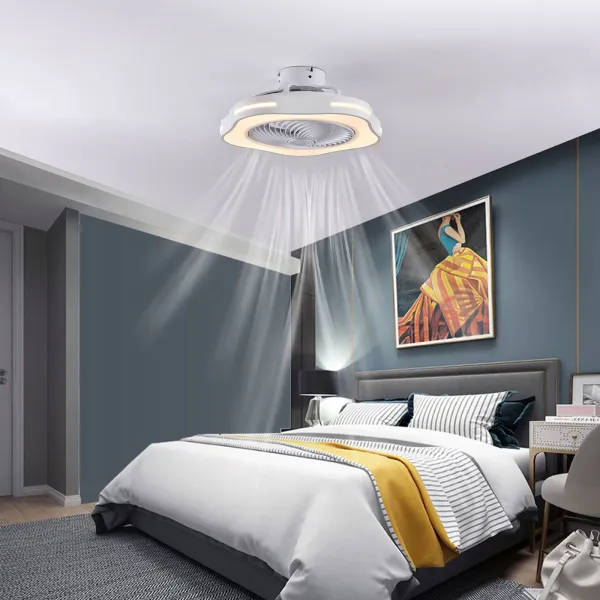 20 Inch Enclosed Ceiling Fan with Light and Remote Control Stepless Dimming 3 Wind Speed Timing Silent Ceiling Fan Ceiling Light
