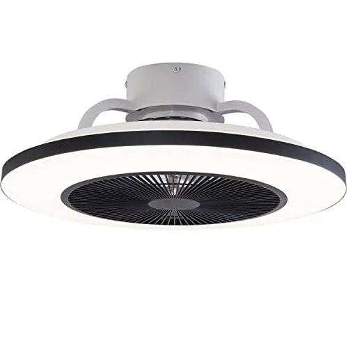 Ceiling Fan with Lights 23 Inch Modern LED Remote Control Flush Mount Ceiling Fan with 5 Invisible Acrylic Blades