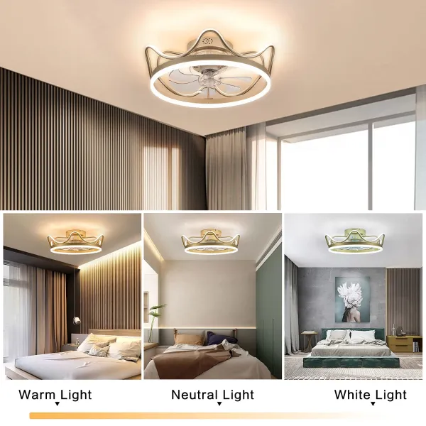 23 inch Enclosed Ceiling Fan with Lights Remote Control, Flush Mount Low Profile Ceiling Fan