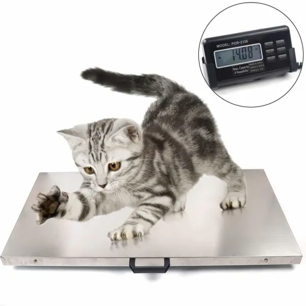 Digital Pet Scale Livestock Scale Shipping Scale Pig Dog Weight Scale Stainless Steel Large Platform 41x21 Inch (300kg/660lb) Digital Pet Scale Livestock Scale Shipping Scale Pig Dog Weight Scale Stainless Steel Large Platform 41x21 Inch (300kg/660lb)