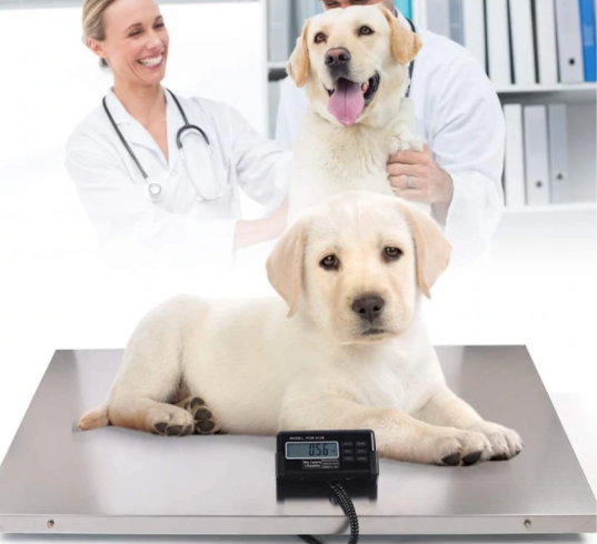 Digital 660Lbs Digital Livestock Scale