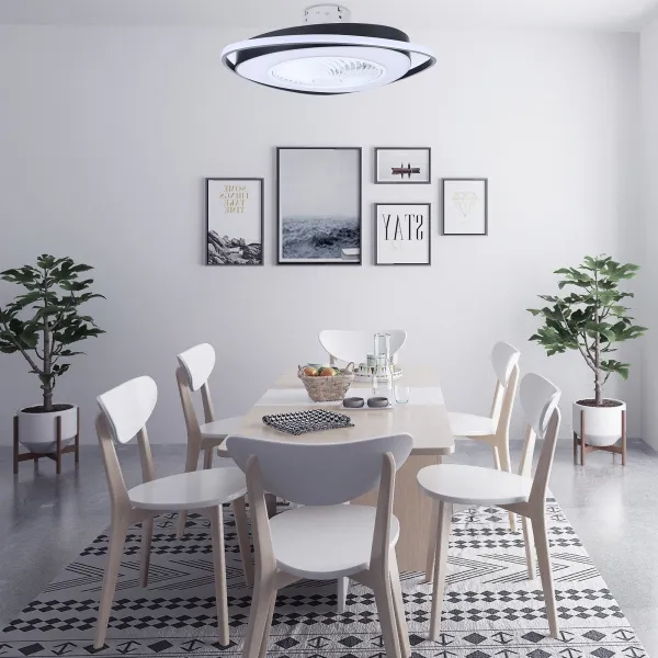 Modern Design Ceiling Fan Light with Remote Control Bladeless Ceiling Fan with Lights