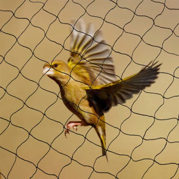 OUKANING Anti Bird Netting 100'X50' Barrier Garden Bird Poultry Aviary Net OUKANING Anti Bird Netting 100'X50' Barrier Garden Bird Poultry Aviary Net