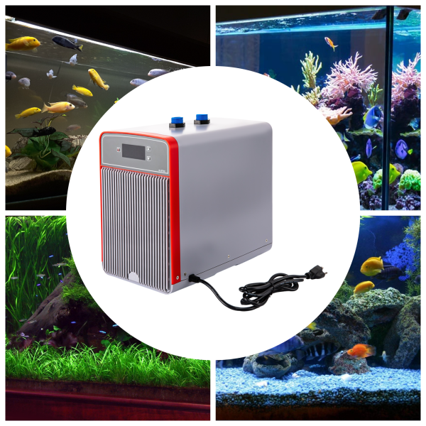 42Gal Aquarium Chiller, 1/10HP Water Chiller for Hydroponics System Fish Tank Coral Reef Tank, Quiet Design, 160L, Grey